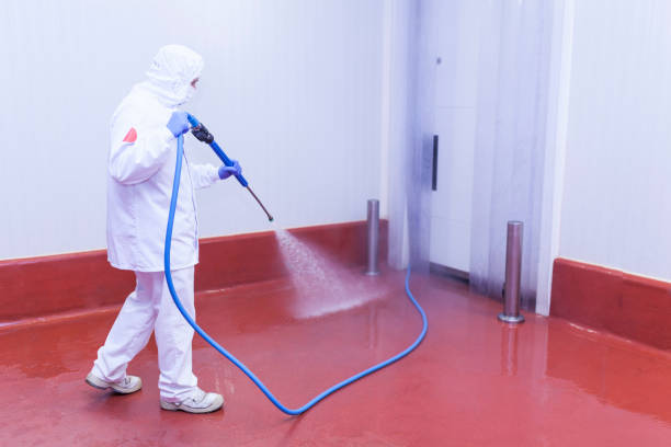 Best Sidewalk and Walkway Cleaning  in Chesterfield, SC